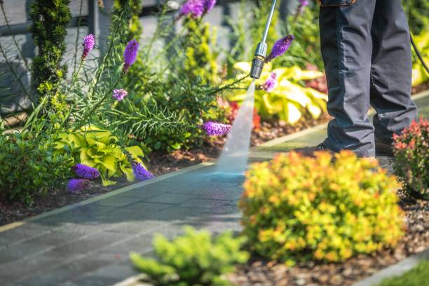 Best Gutter Cleaning and Brightening in Melcher Dallas, IA